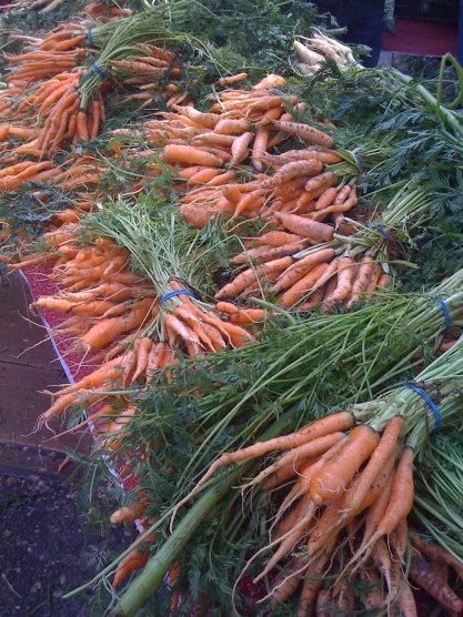 Carrots galore